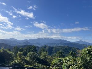 社員研修～高尾山登山～